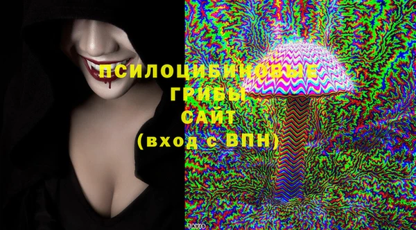 а пвп мука Абаза