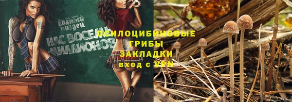 МДПВ Алексеевка