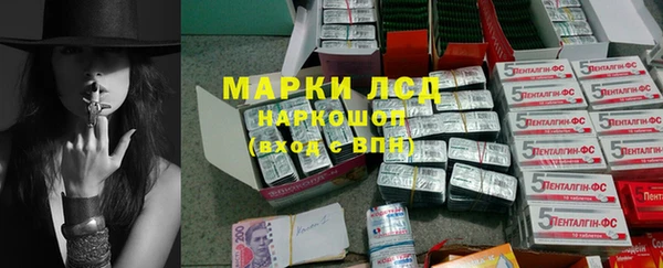 амф Алзамай