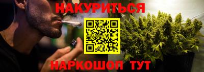 индика Пушкино