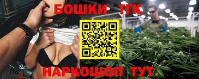 индика Пушкино