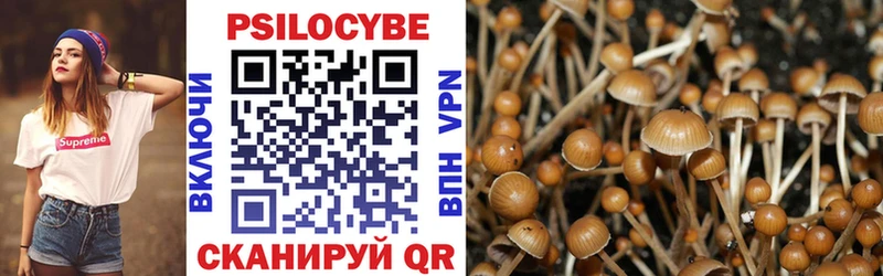 где можно купить   Балашиха  Псилоцибиновые грибы MAGIC MUSHROOMS 